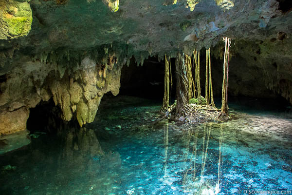 Balneario Grand Cenote, Yucatan Mexico