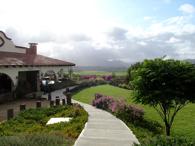 Haciendas vitivinicolas de Mexico