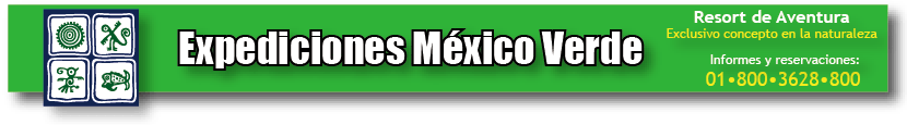 Campamento Expediciones México Verde