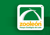 Campamento Zooleón, Guanajuato Mexico
