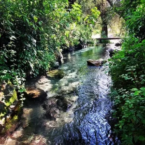 Balneario Ejidal Itzamatitlán