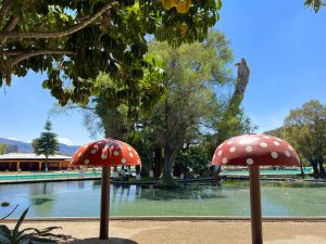 Balneario Ejidal Las Fuentes
