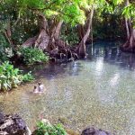 Balneario La Poza de los Enanos