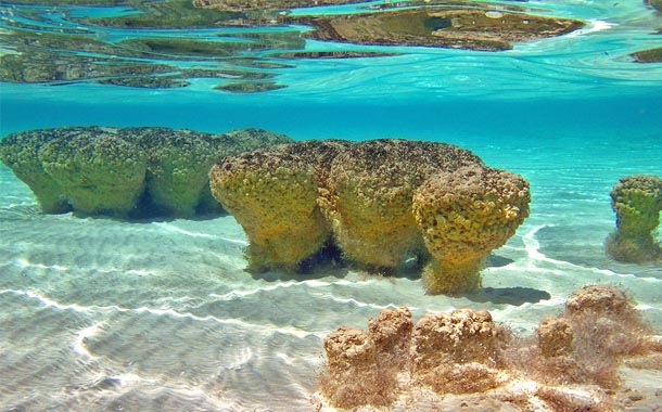 Balneario Los Cocalitos