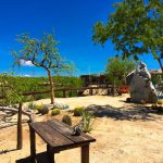 Balneario Wild Canyon