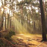 Balneario Los Novillos