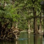 Balneario Rio Sabinas