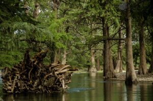 Balneario Rio Sabinas