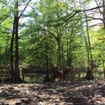 Balneario Paraje Los Salones