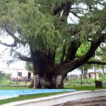 Balneario Sabino Gordo