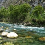 Balneario Rio Guayalejo