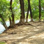 Balneario Playitas del Limon