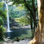 Balneario Cascadas de Misol-Ha