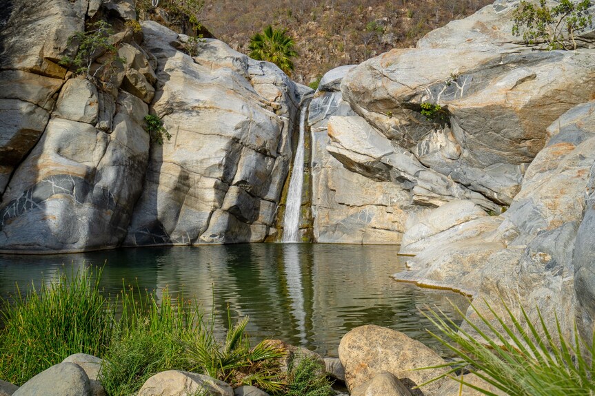 Rancho Ecológico Sol de Mayo