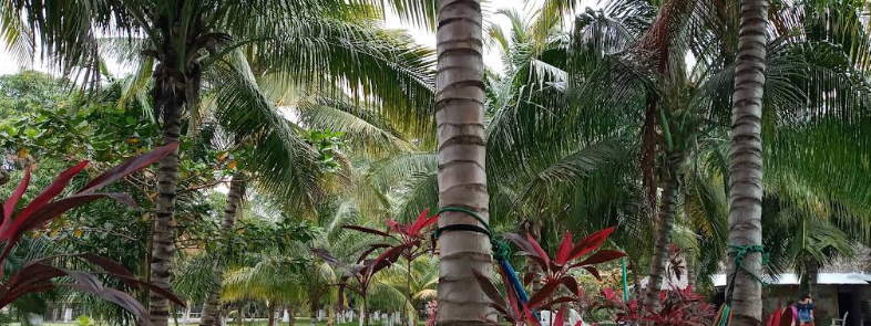 Recreativo La Mariposa