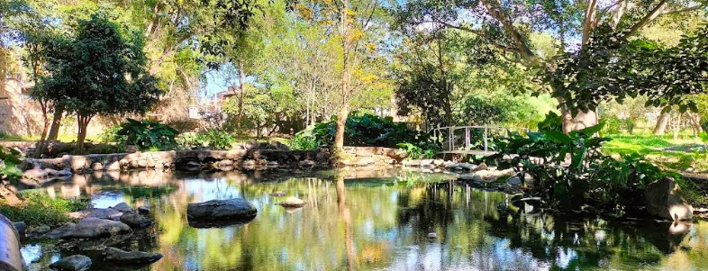 Nacimiento acuático Las Pilas