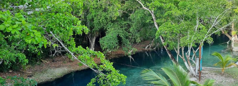 Balneario Cenote Lol Ha