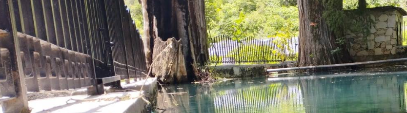 Manantial San Miguel