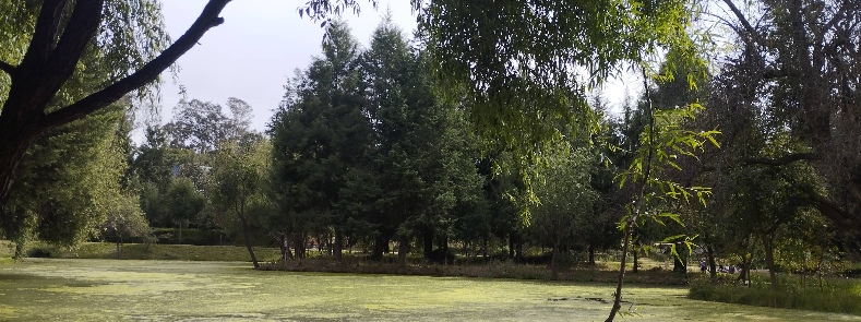 Reserva Ecológica Las Cuevas