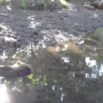 Reserva Ecológica Las Cuevas