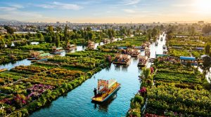 Descubre la joya escondida de Xochimilco: Un viaje por los canales y chinampas, ¡experiencias únicas de sol y agua te esperan!